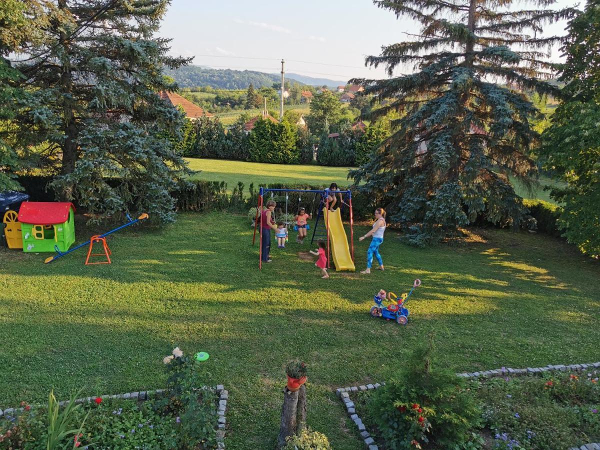Apartments Domacinstvo Nikolic Valjevo Ngoại thất bức ảnh